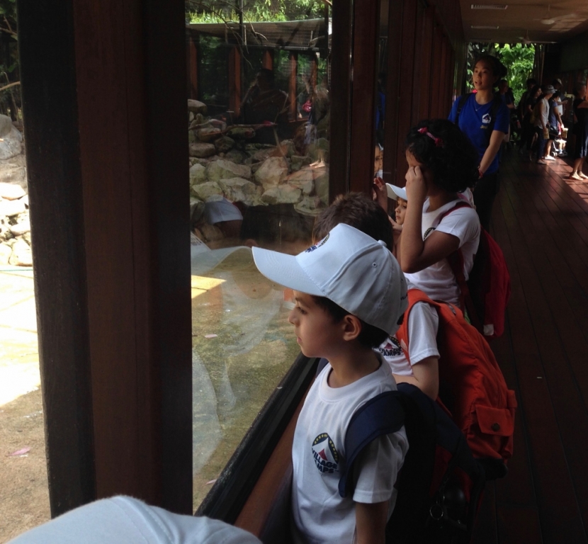 Village Camps International Summer Camp VDC Singapore 2017-07-28 https://www.villagecamps.com/journals_admin/images/1695-8963-IMG_6149 (1024x947).jpg